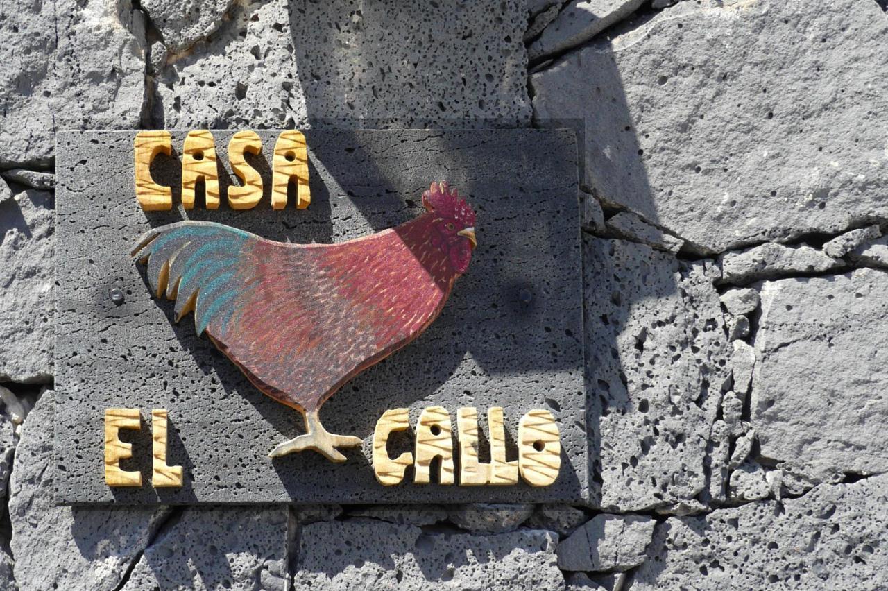 טגיסי Casa El Gallo מראה חיצוני תמונה